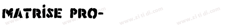 Matrise Pro字体转换